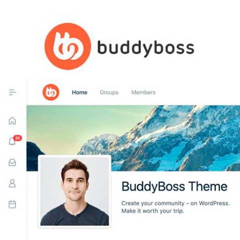 BuddyBoss Theme y Platform Pro