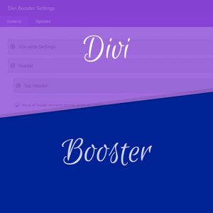 Divi Booster
