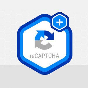 Gravity Forms reCAPTCHA