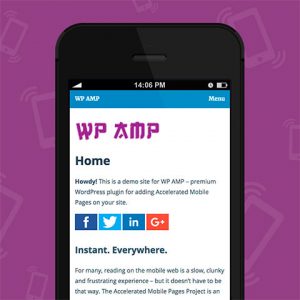 WP AMP – Accelerated Mobile Pages for WordPress and WooCommerce
