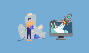 plugins wordpress