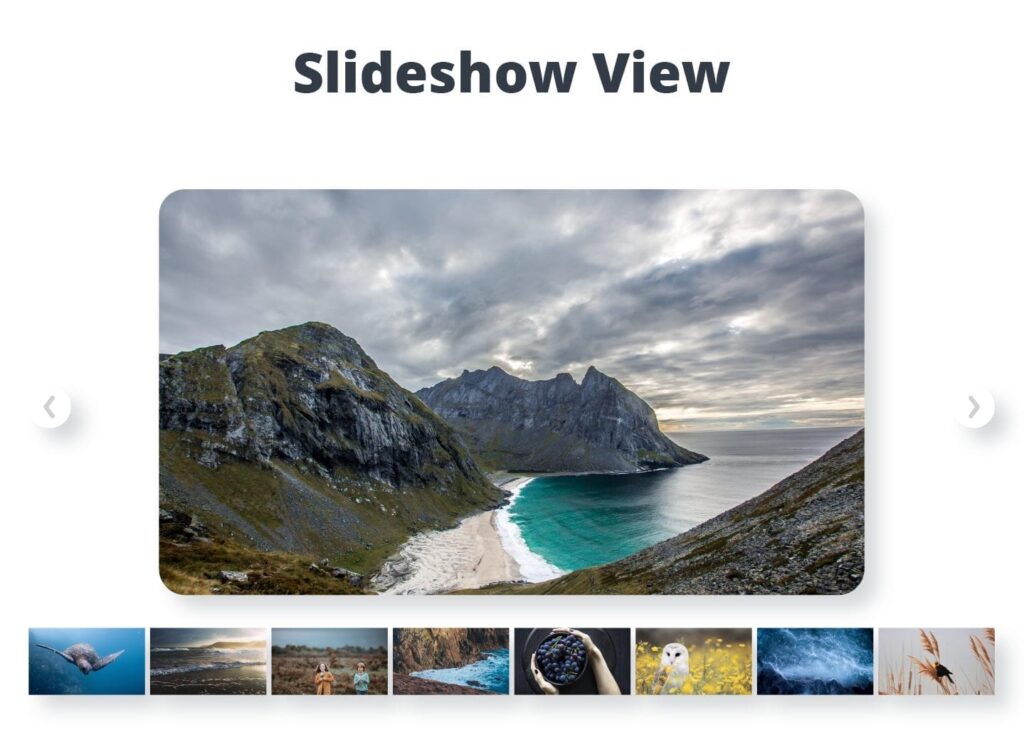 galeria de imagenes con wordpress como crear una y 10 de los mejores plugins