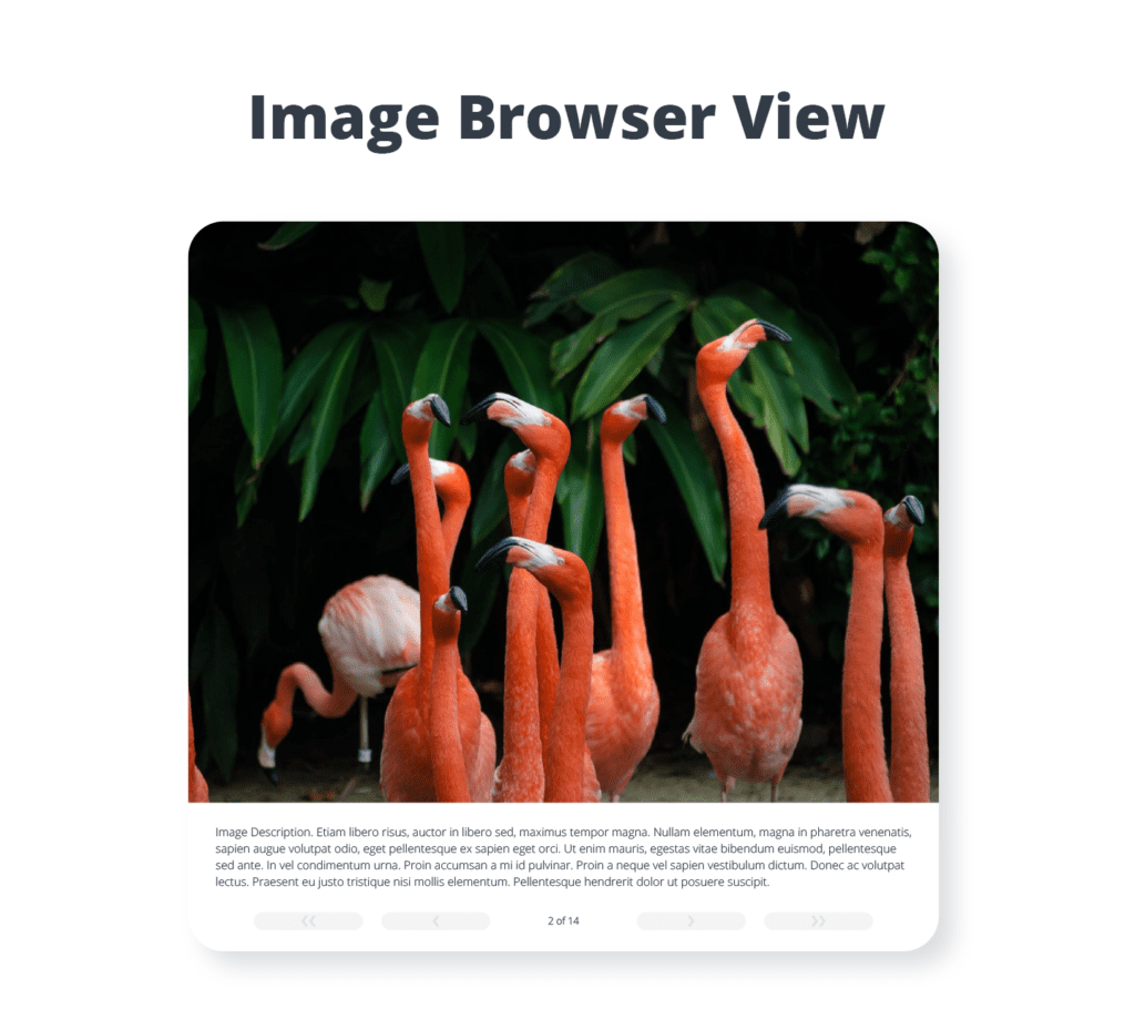 galeria de imagenes con wordpress como crear una y 10 de los mejores plugins 2