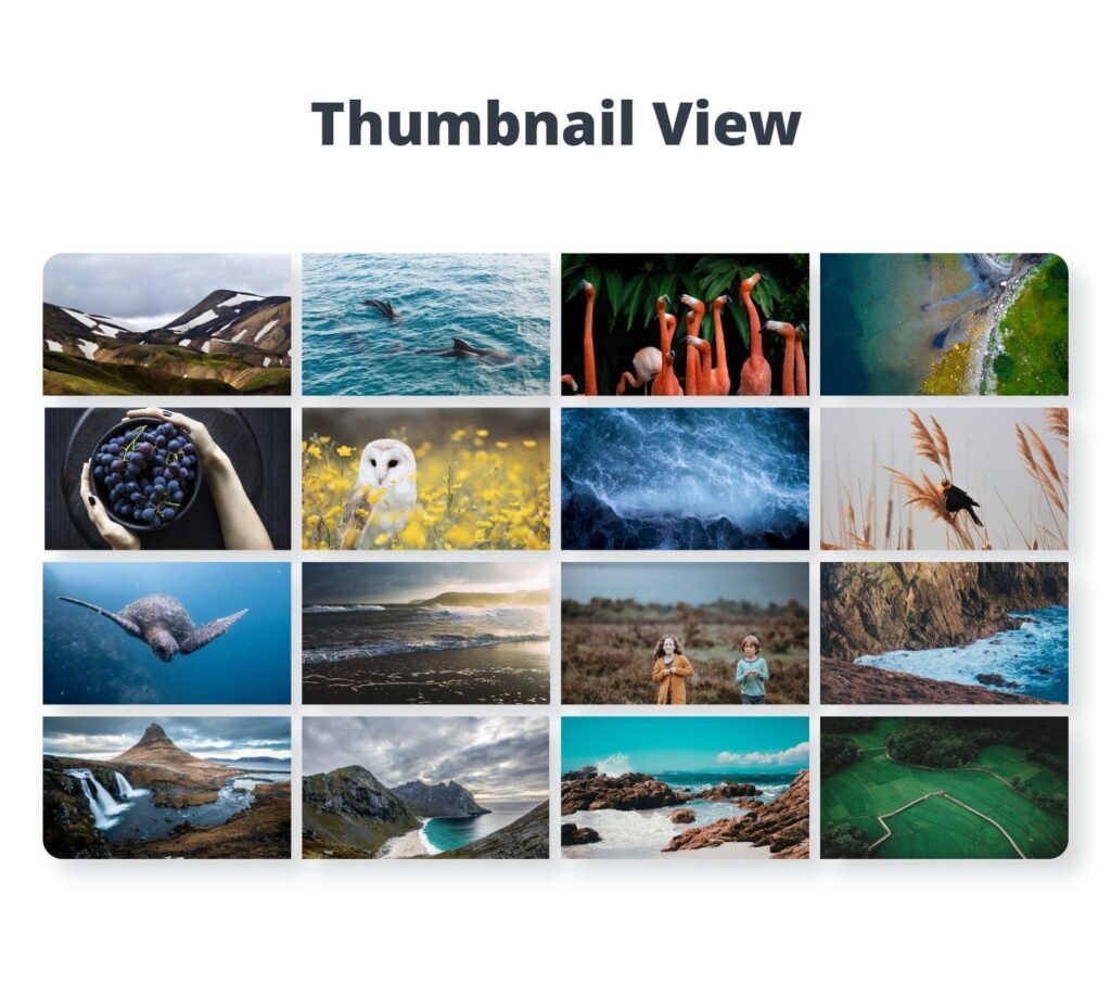 galeria de imagenes con wordpress como crear una y 10 de los mejores plugins 4