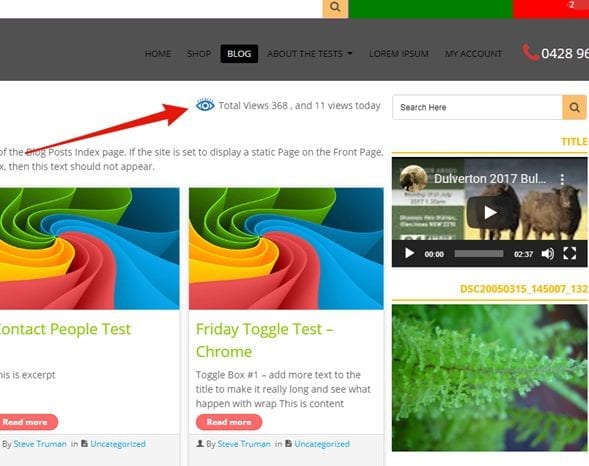 page-view-counter-plugin-poner-contador-de-visitas-en-WordPress