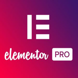 ElementorProPluginWordPress