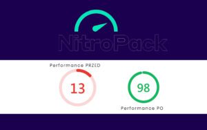 NitroPack Popraw swoj wynik w Google PageSpeed